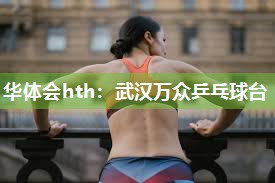 华体会hth：武汉万众乒乓球台